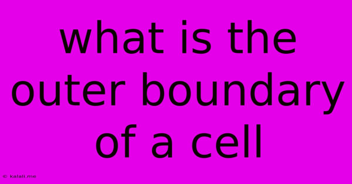 What Is The Outer Boundary Of A Cell