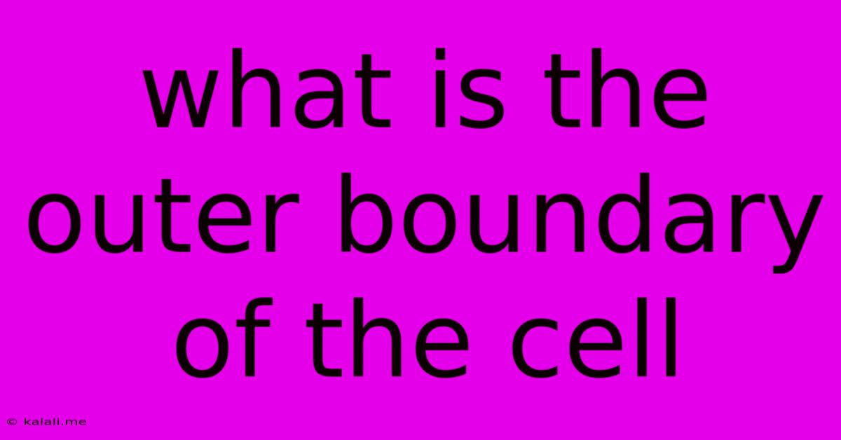What Is The Outer Boundary Of The Cell