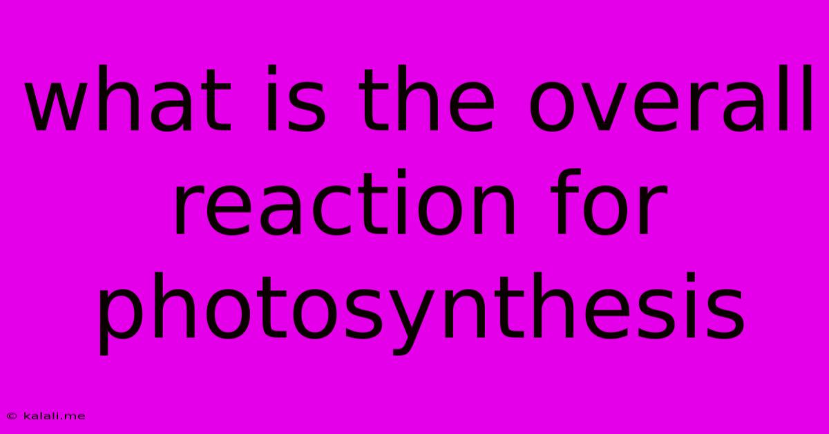 What Is The Overall Reaction For Photosynthesis