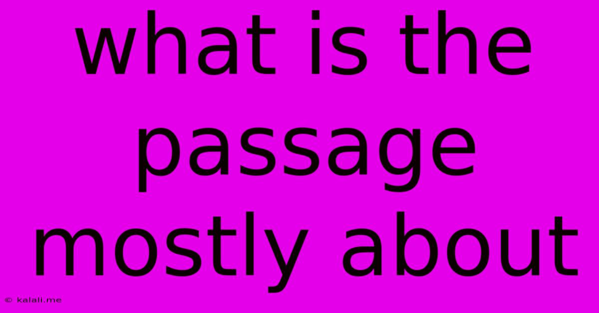 What Is The Passage Mostly About