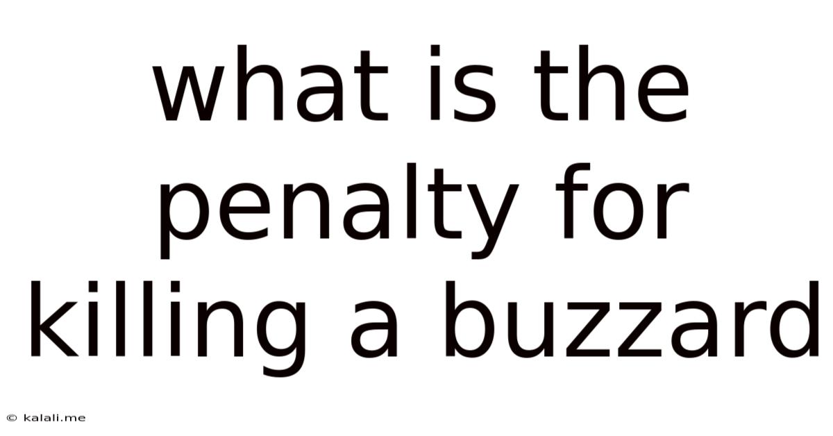 What Is The Penalty For Killing A Buzzard