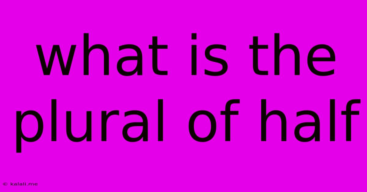 What Is The Plural Of Half