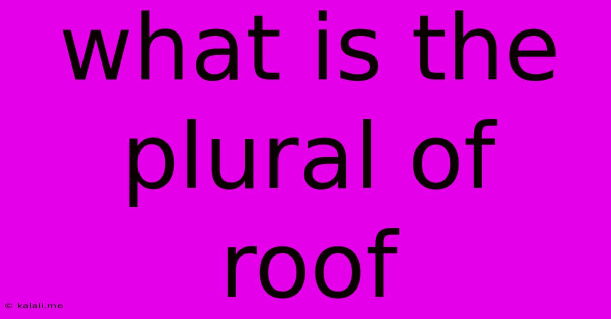 What Is The Plural Of Roof