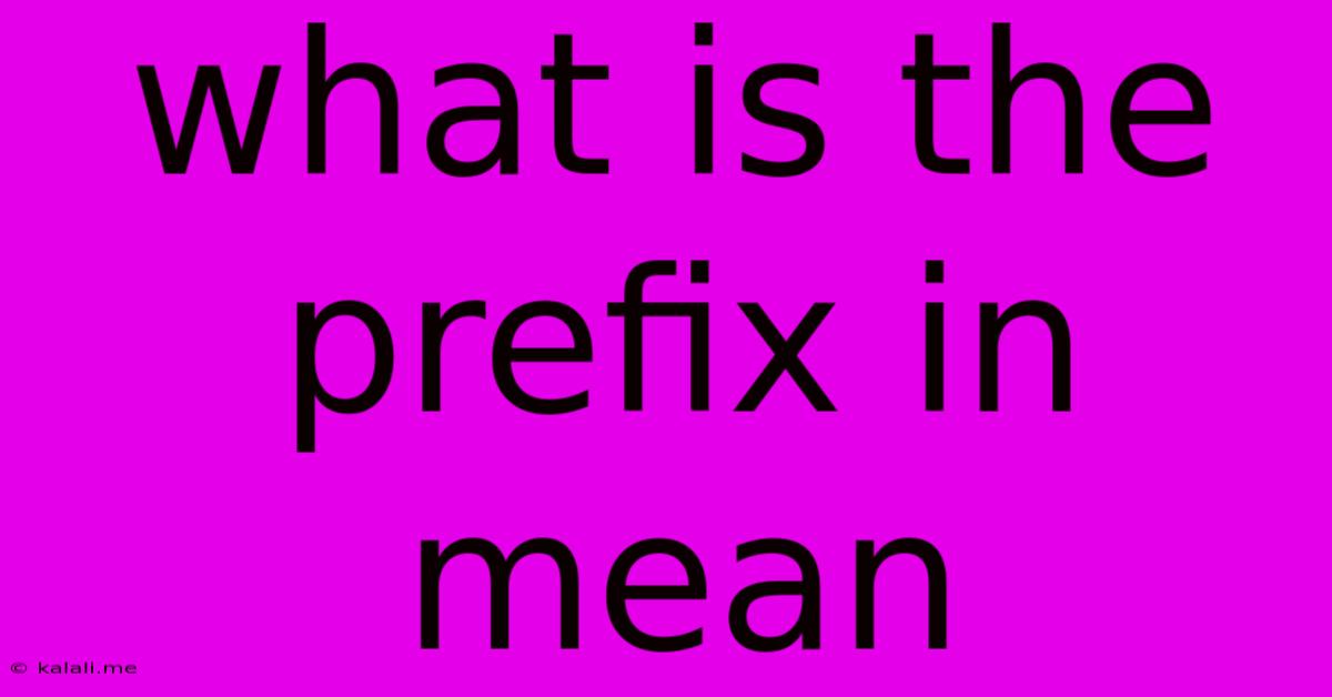 What Is The Prefix In Mean