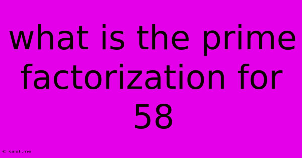 What Is The Prime Factorization For 58