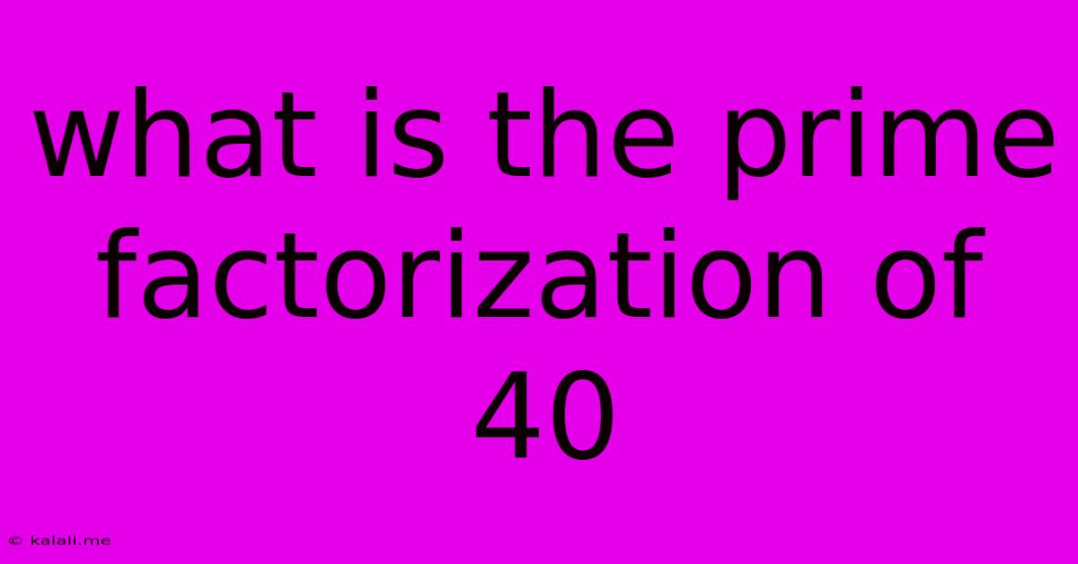 What Is The Prime Factorization Of 40