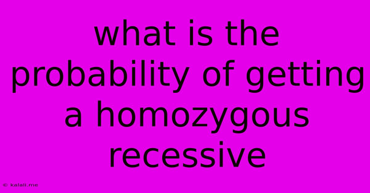 What Is The Probability Of Getting A Homozygous Recessive
