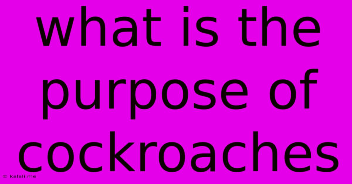 What Is The Purpose Of Cockroaches
