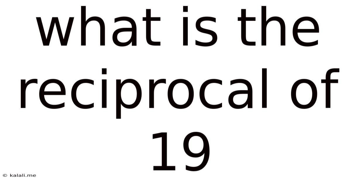 What Is The Reciprocal Of 19