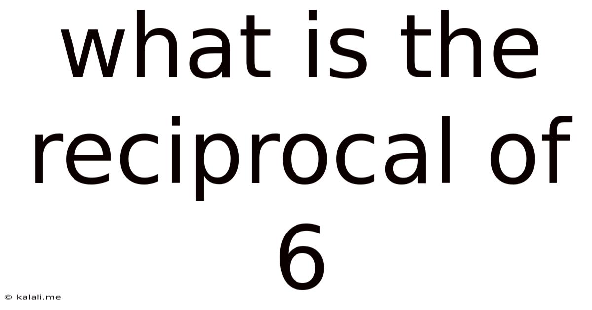 What Is The Reciprocal Of 6