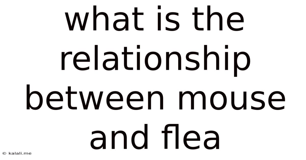 What Is The Relationship Between Mouse And Flea