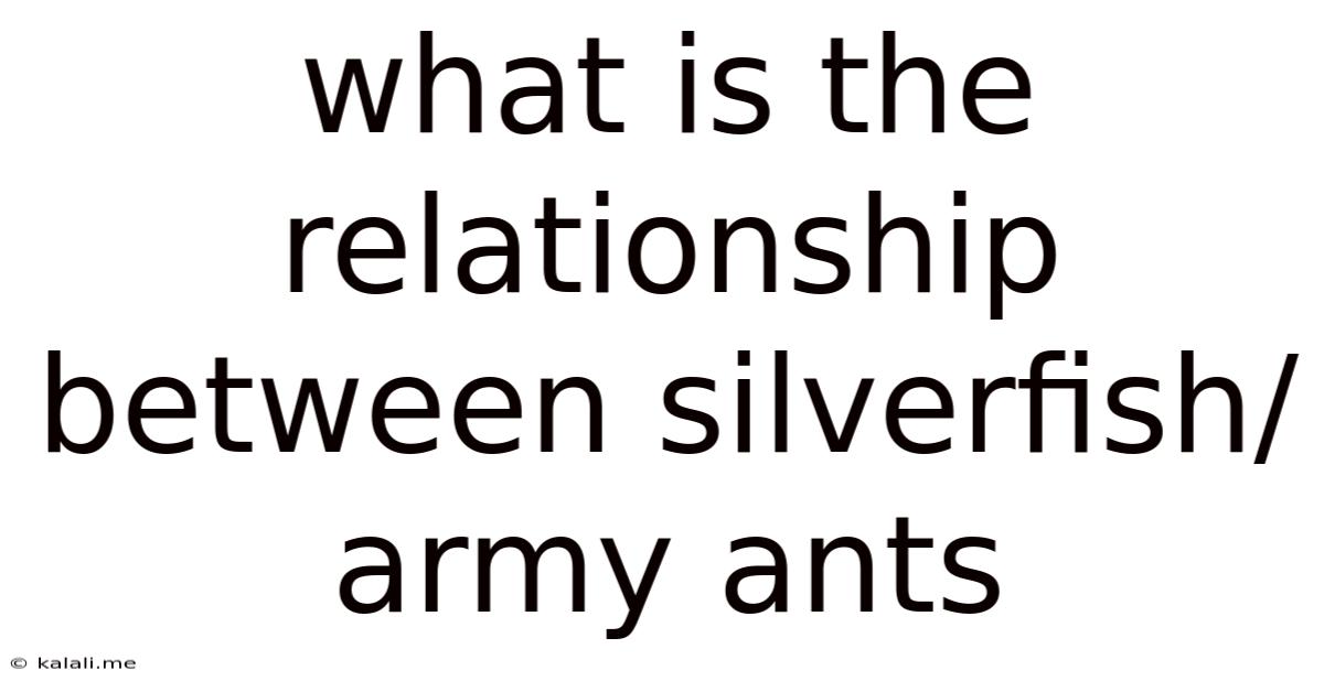 What Is The Relationship Between Silverfish/army Ants