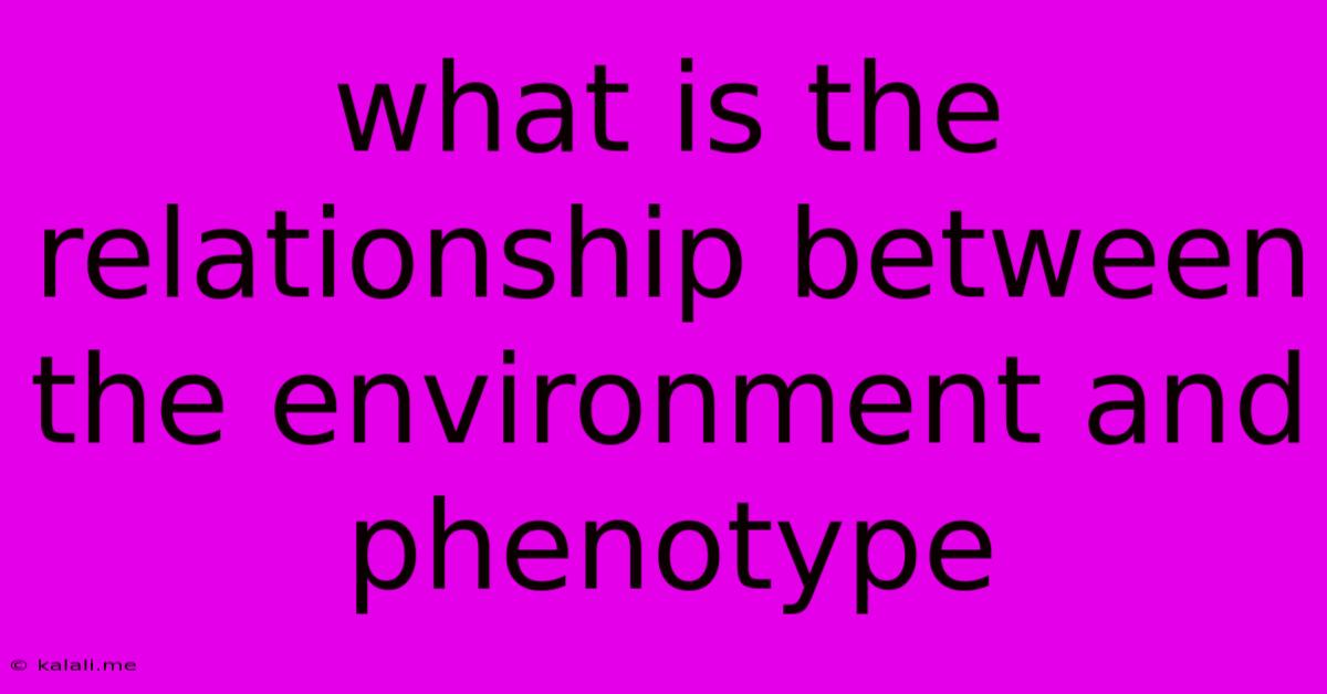 What Is The Relationship Between The Environment And Phenotype