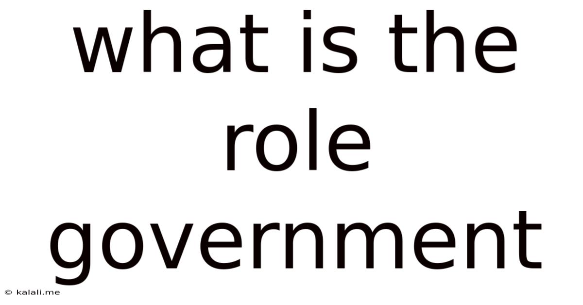 What Is The Role Government