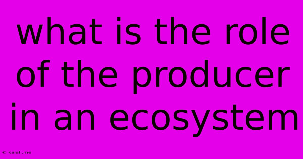What Is The Role Of The Producer In An Ecosystem