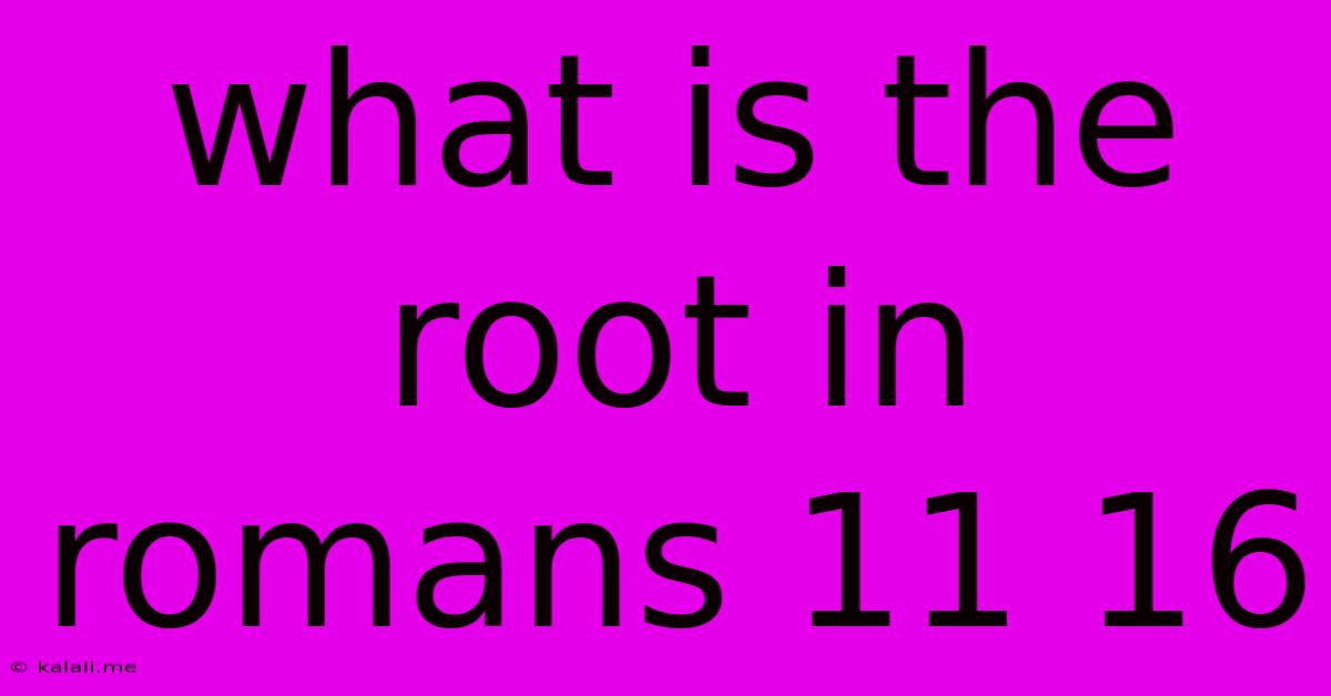 What Is The Root In Romans 11 16