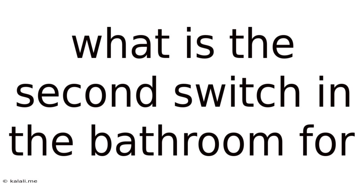 What Is The Second Switch In The Bathroom For
