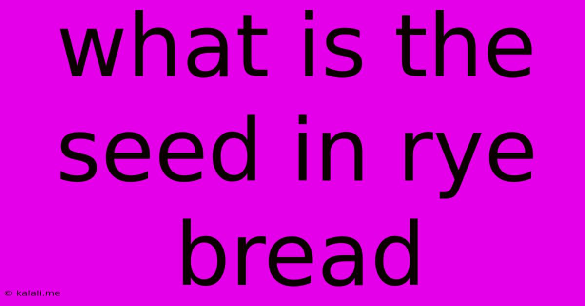 What Is The Seed In Rye Bread