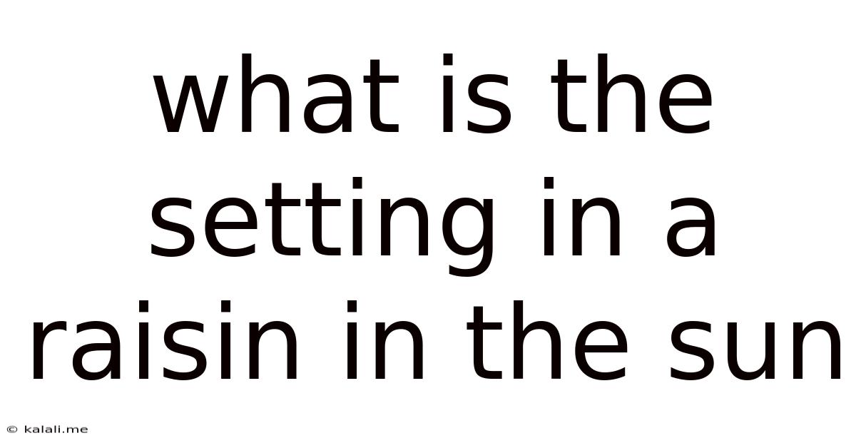 What Is The Setting In A Raisin In The Sun