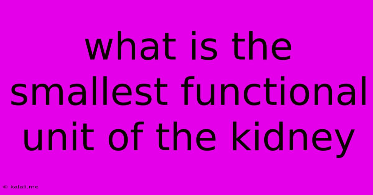 What Is The Smallest Functional Unit Of The Kidney