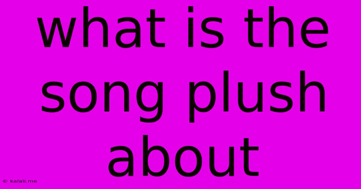 What Is The Song Plush About