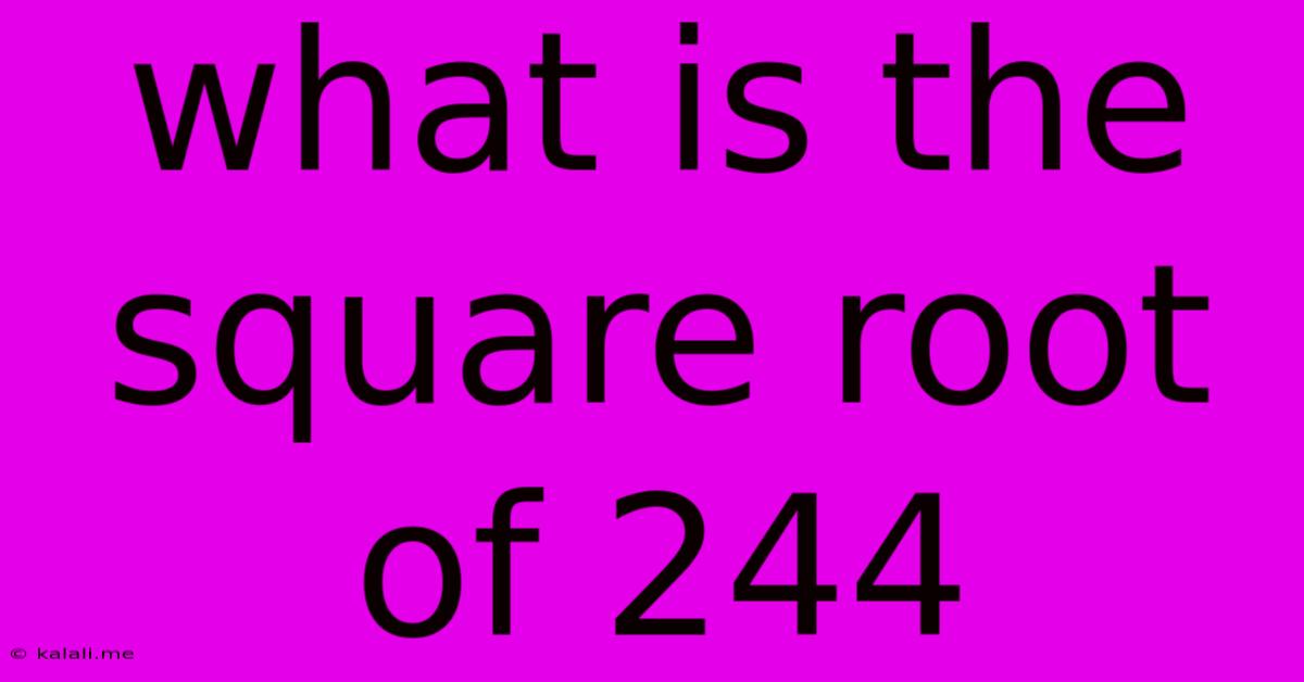 What Is The Square Root Of 244