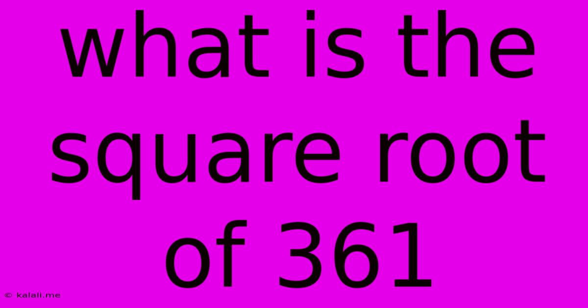 What Is The Square Root Of 361