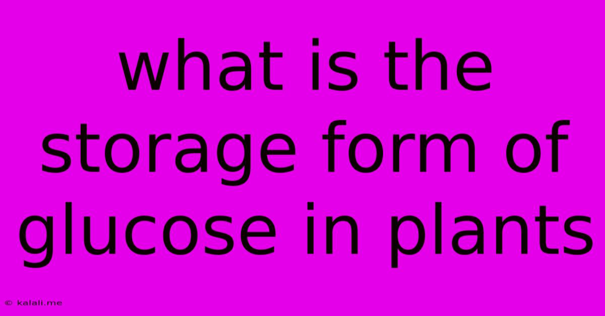 What Is The Storage Form Of Glucose In Plants