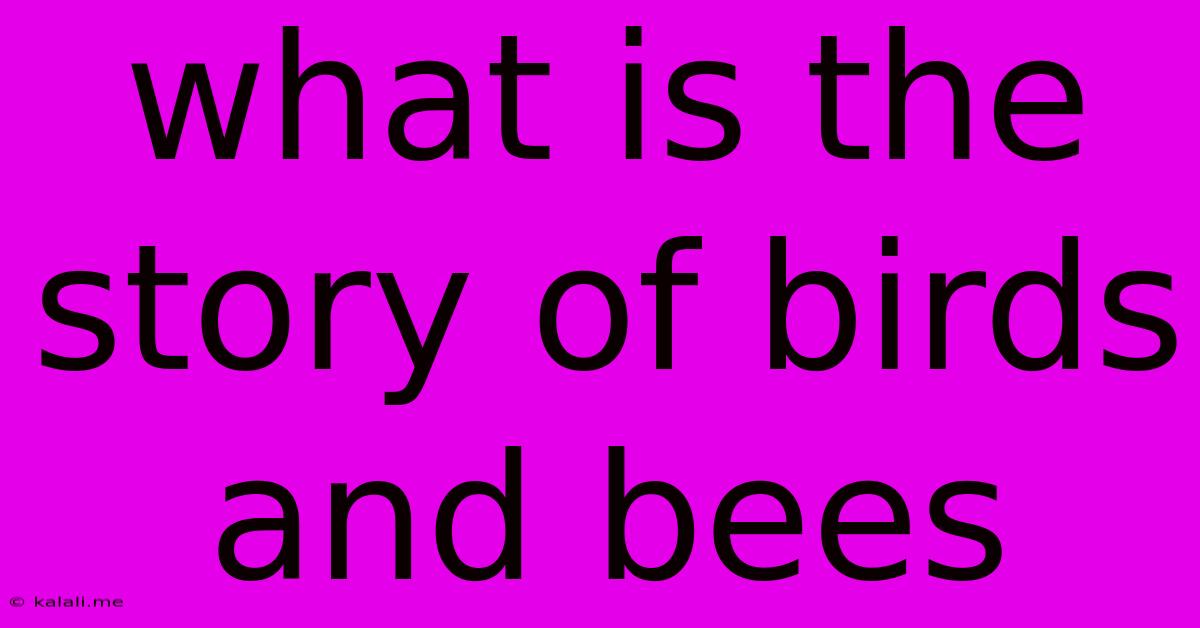 What Is The Story Of Birds And Bees