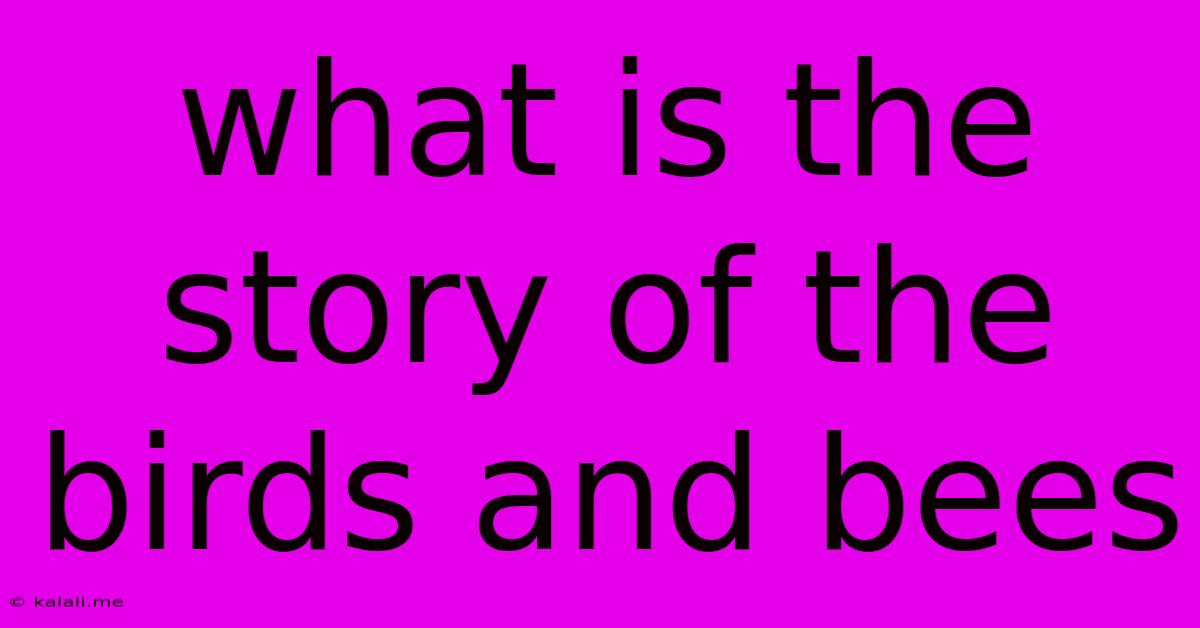 What Is The Story Of The Birds And Bees