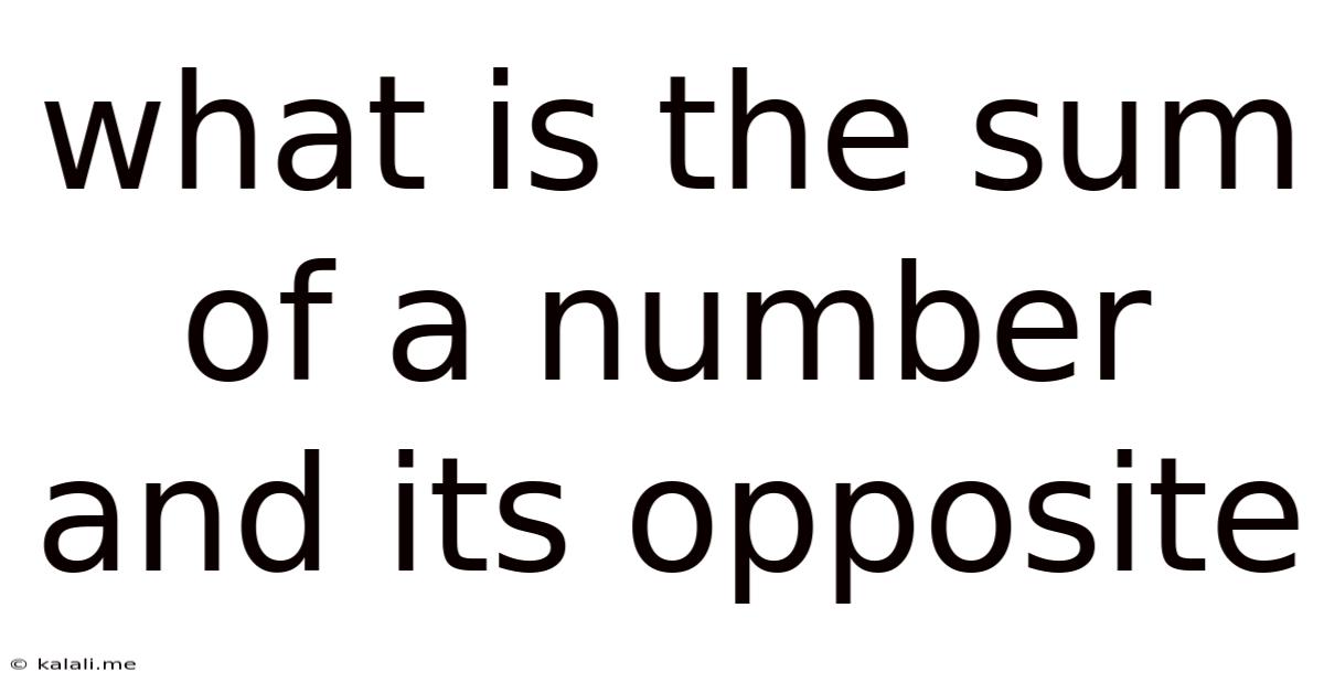 What Is The Sum Of A Number And Its Opposite