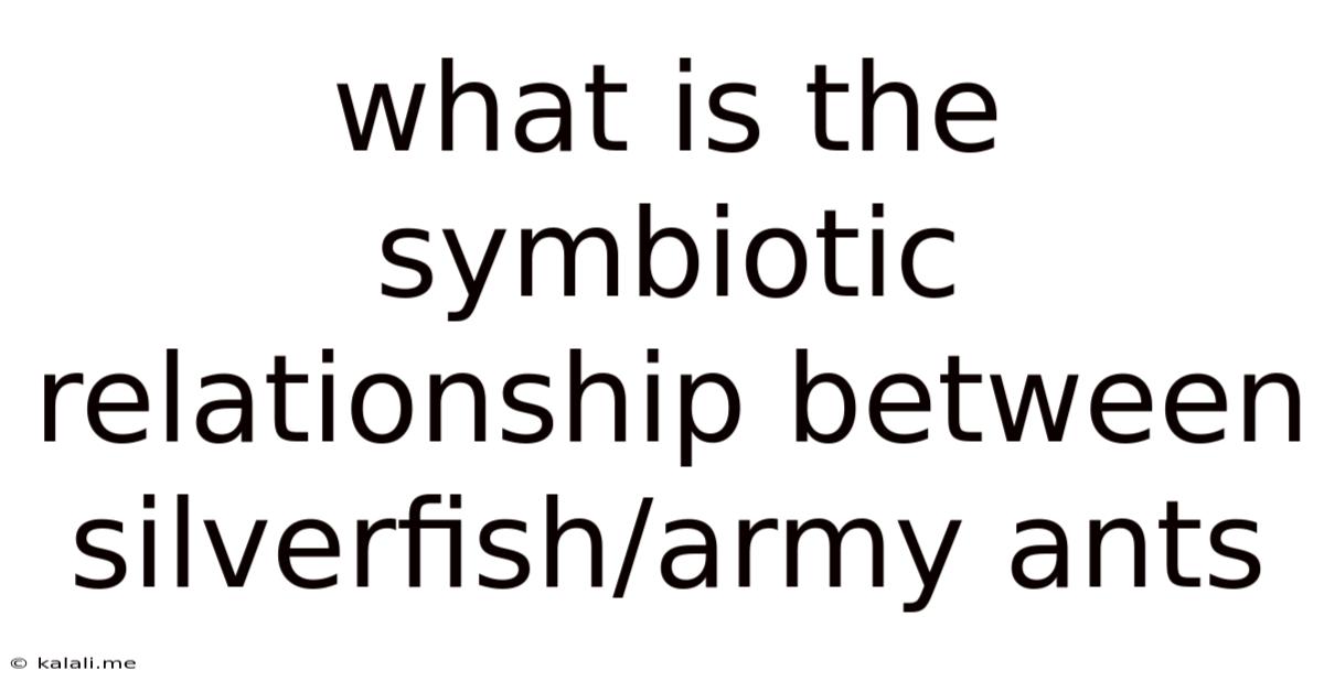 What Is The Symbiotic Relationship Between Silverfish/army Ants
