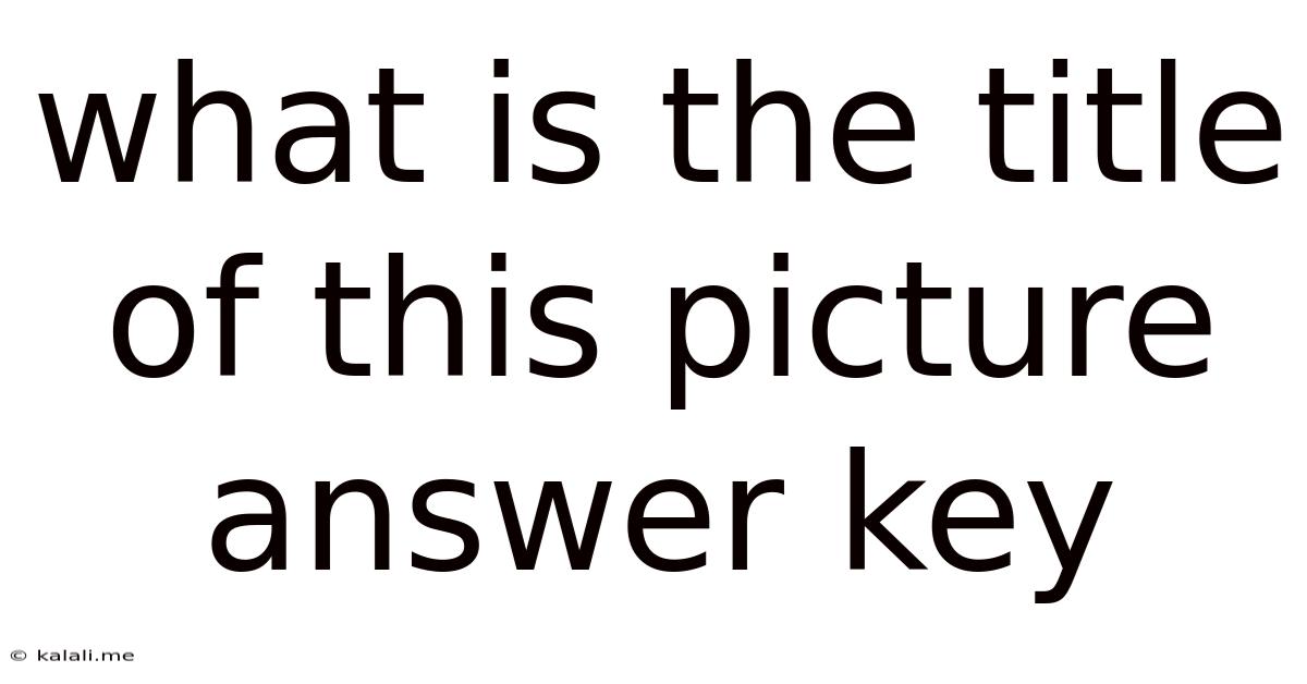 What Is The Title Of This Picture Answer Key