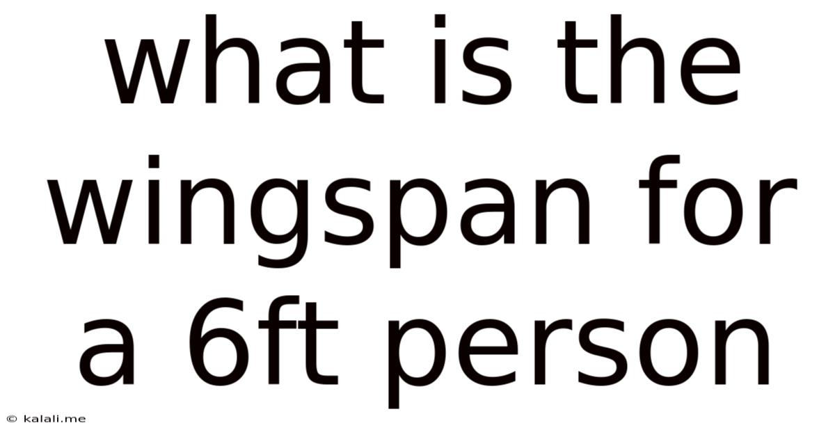 What Is The Wingspan For A 6ft Person