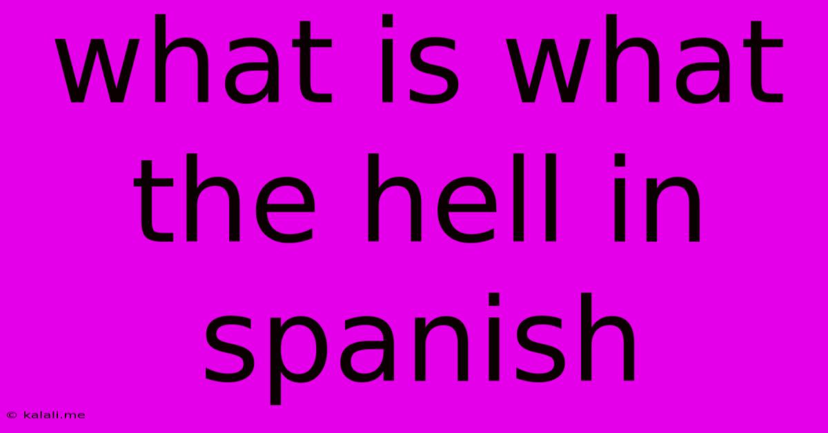 What Is What The Hell In Spanish