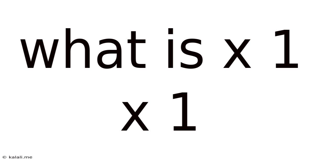 What Is X 1 X 1
