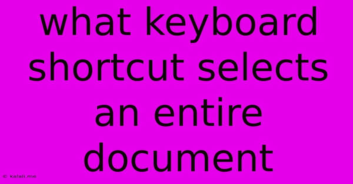 What Keyboard Shortcut Selects An Entire Document
