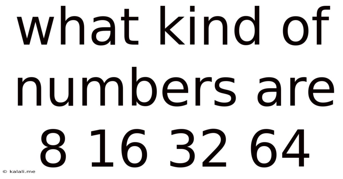 What Kind Of Numbers Are 8 16 32 64