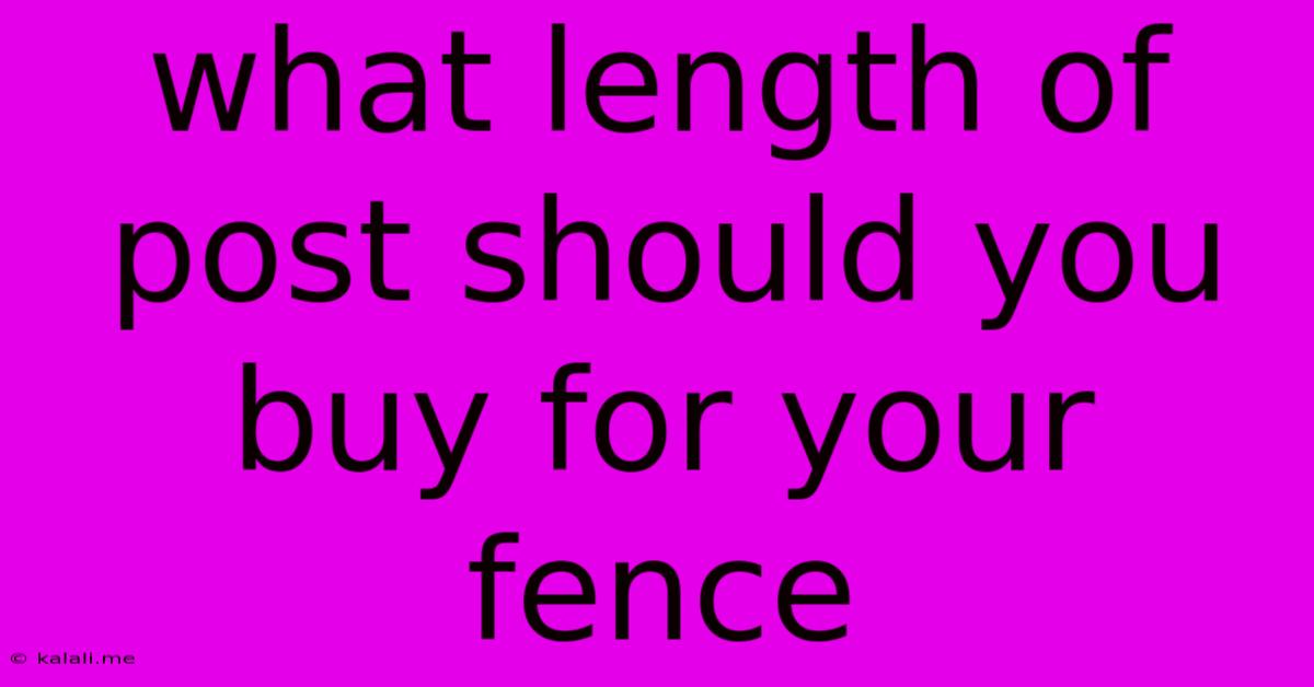 What Length Of Post Should You Buy For Your Fence