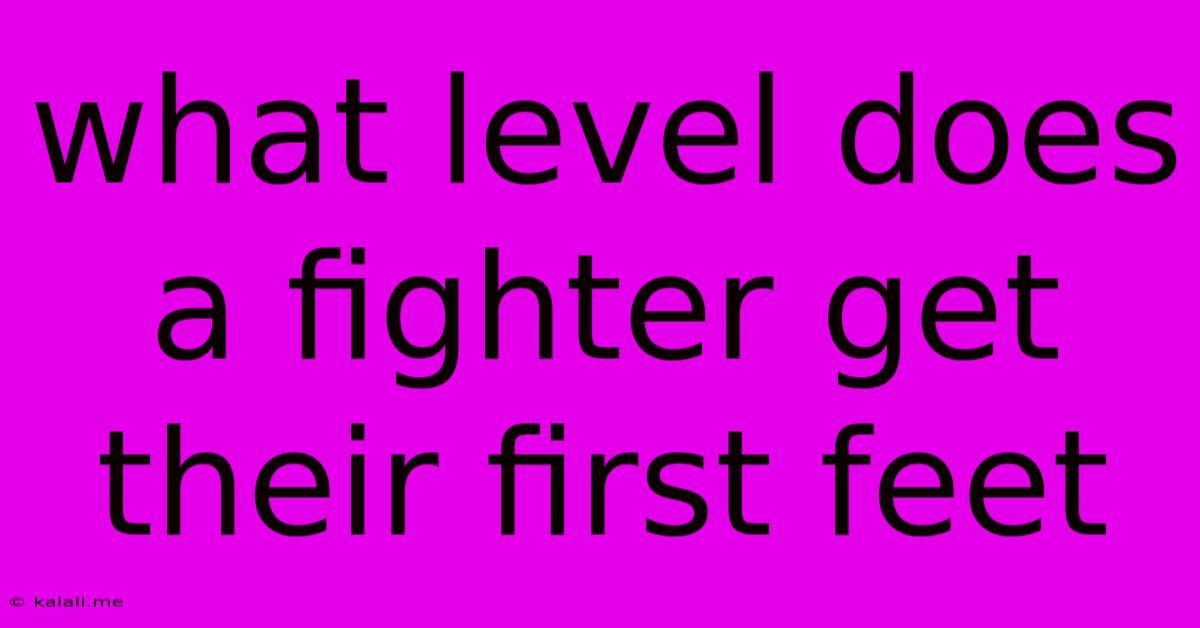 What Level Does A Fighter Get Their First Feet