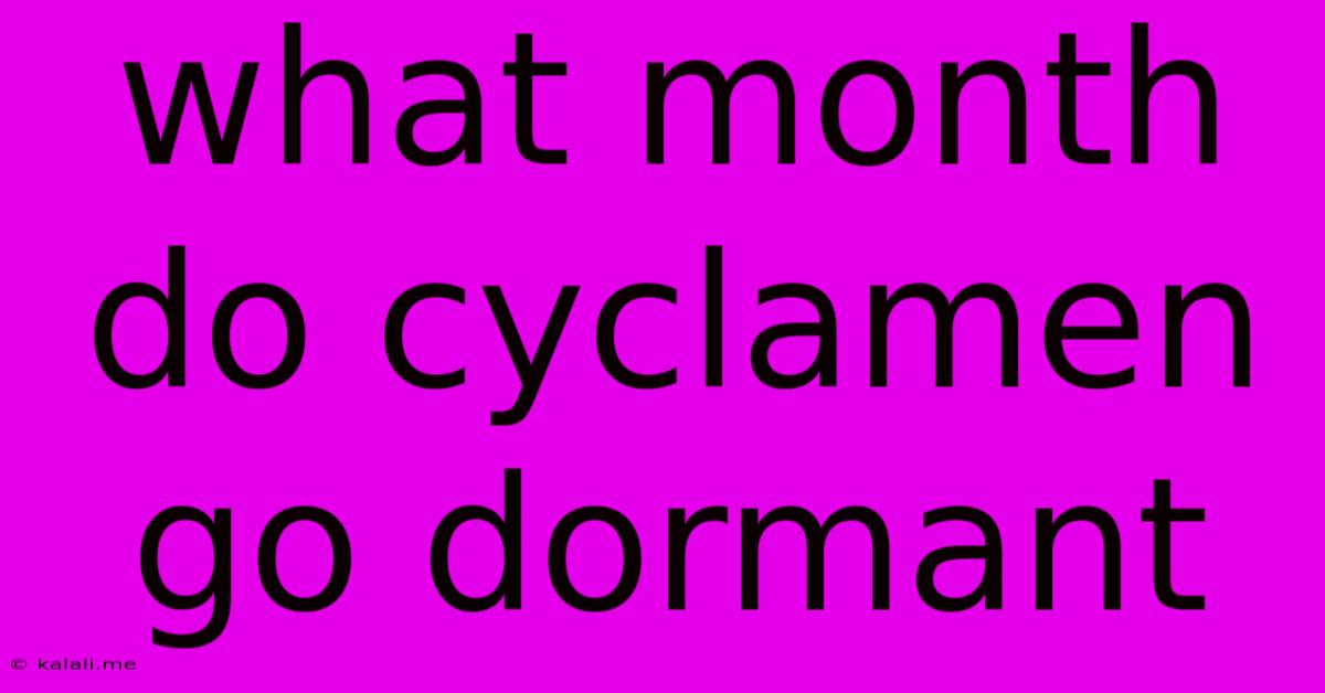 What Month Do Cyclamen Go Dormant