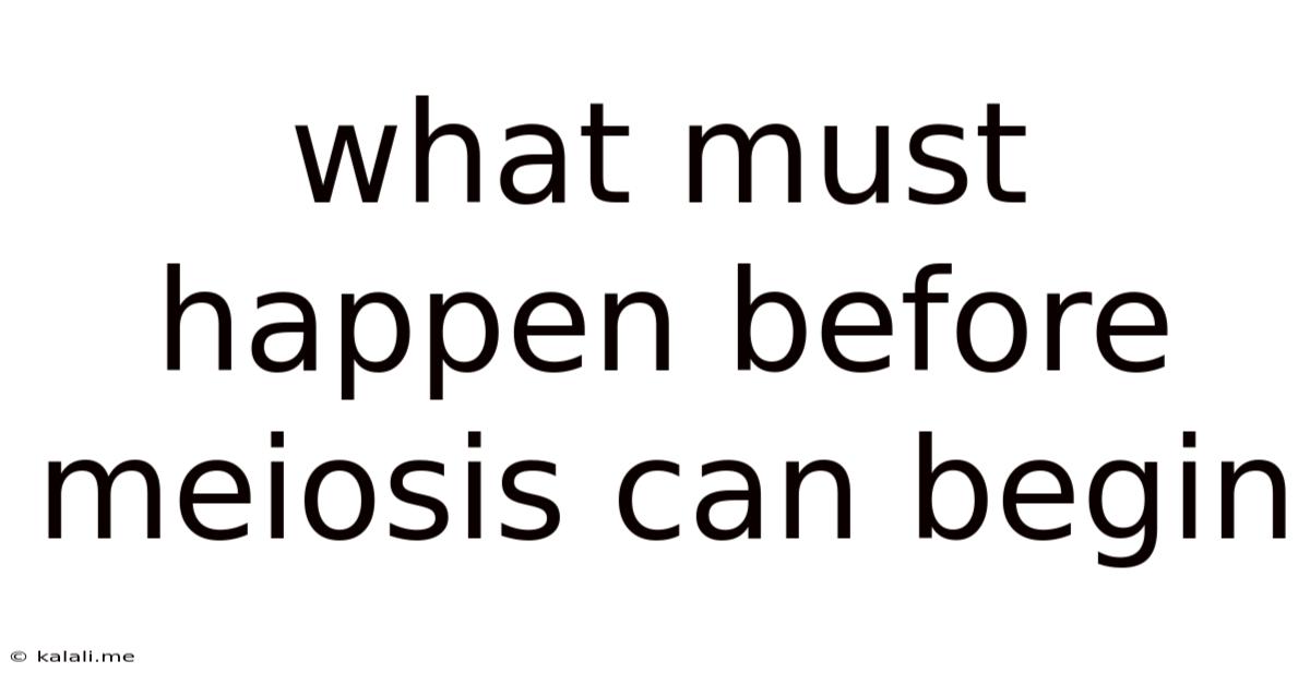 What Must Happen Before Meiosis Can Begin