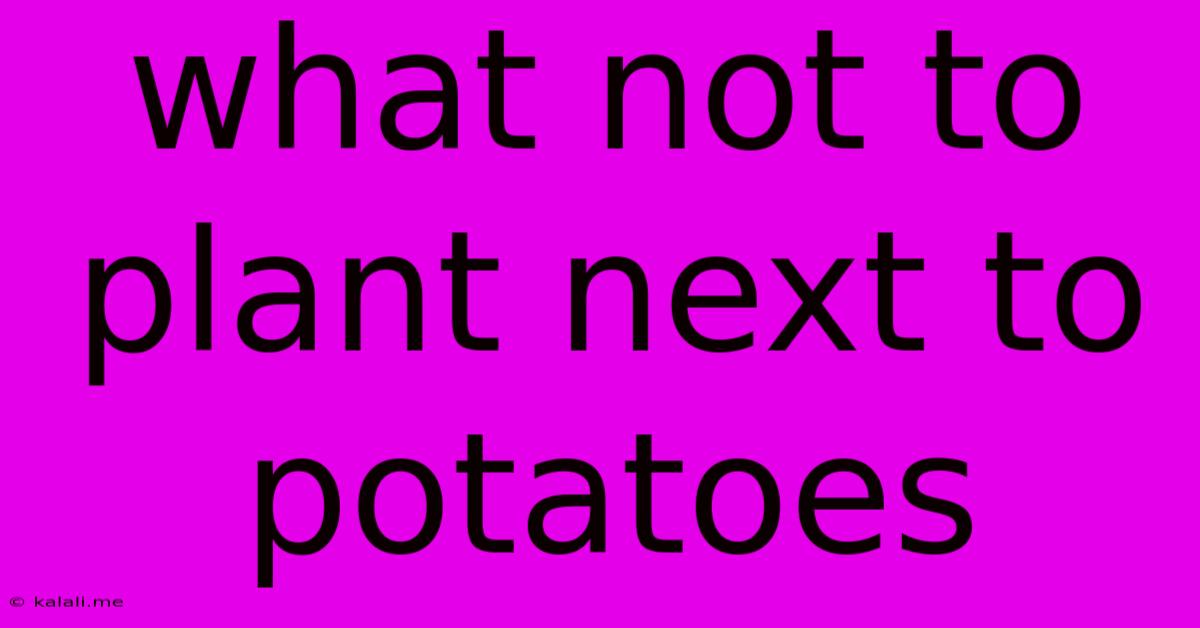 What Not To Plant Next To Potatoes