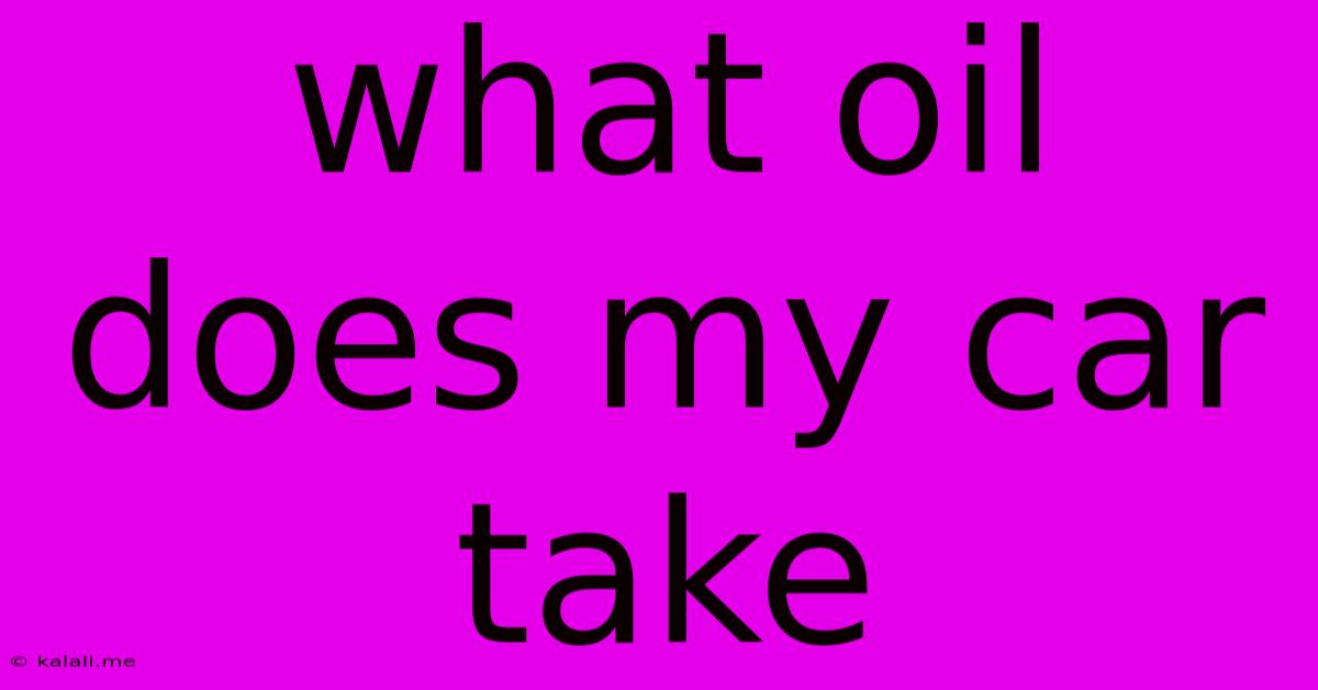 What Oil Does My Car Take