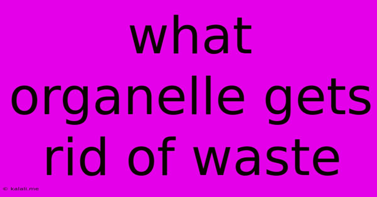What Organelle Gets Rid Of Waste