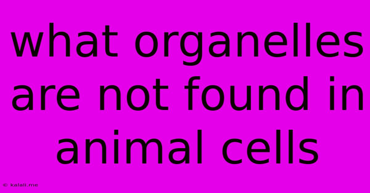 What Organelles Are Not Found In Animal Cells