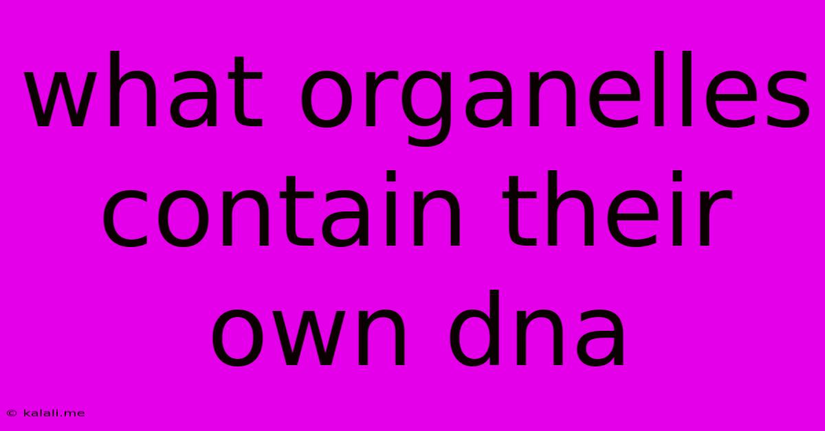 What Organelles Contain Their Own Dna