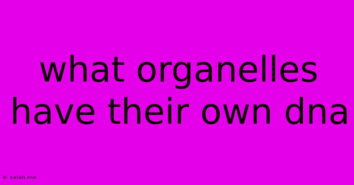 What Organelles Have Their Own Dna