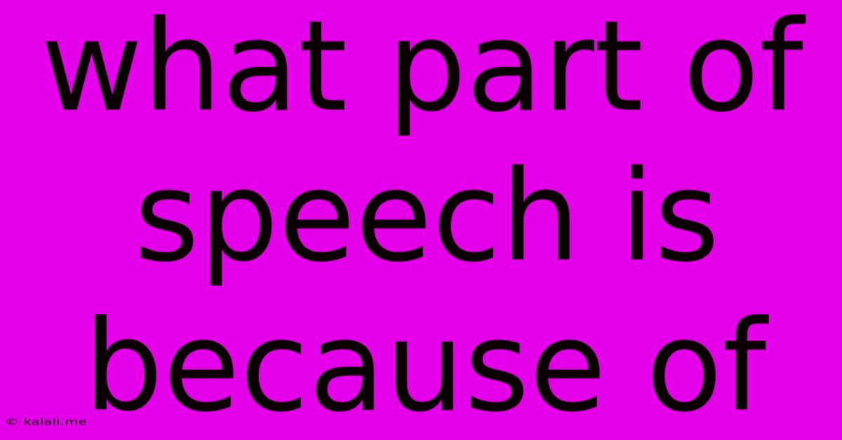 What Part Of Speech Is Because Of