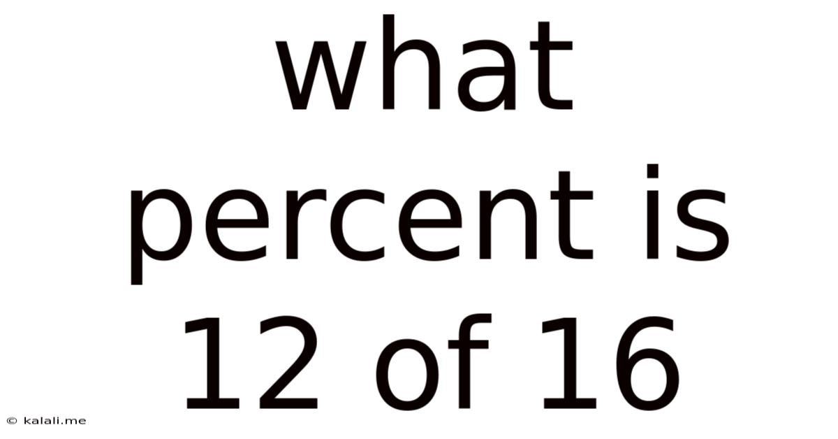 What Percent Is 12 Of 16